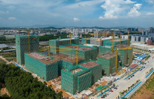 百千萬 新氣象③ 大洲社區(qū) 產(chǎn)業(yè)發(fā)展為先 品質(zhì)環(huán)境為要