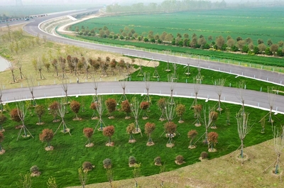 打造綠色環(huán)保標(biāo)桿示范工程,鹽洛高速這樣做!